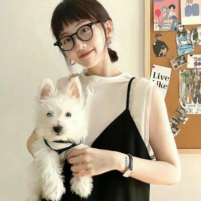 灵通汪星人